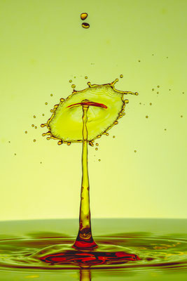 Splash II