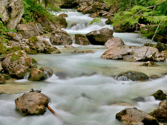 Wildbach im Zauberwald