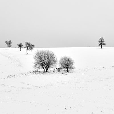 Winter 2v4