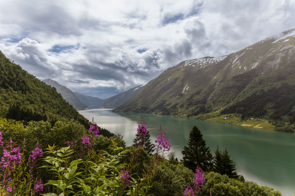 Fjærlands Fjord