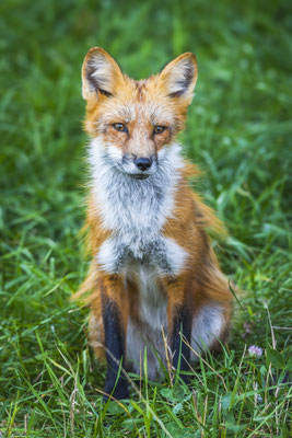 Der Blick, der dich kennt