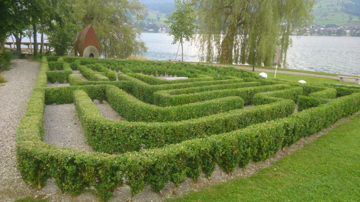 Buchs- Irrgarten