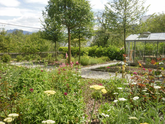 Staudengarten