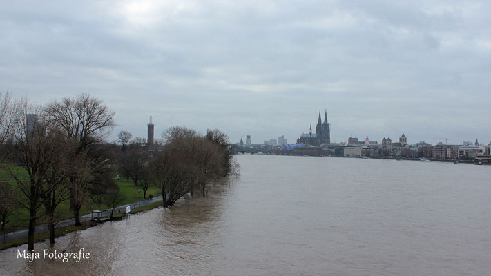 08/01/2012; 12:23 Blickrichtung Rheinpark, von der Zoobrücke aus