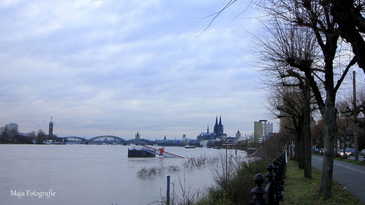 Köln Riehl höhe Zoobrücke
