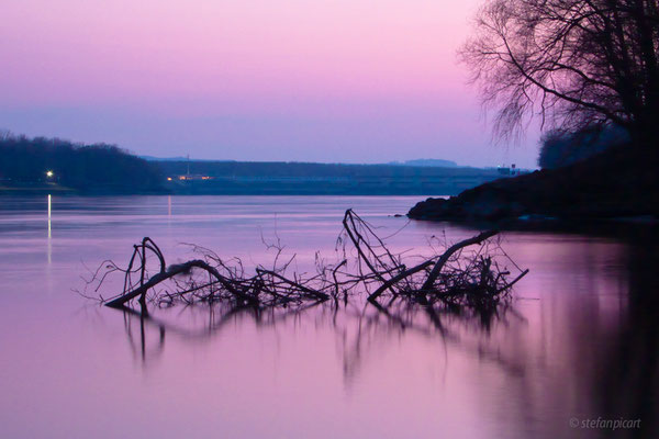 Ottensheim, Donau