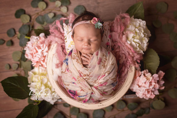 Babyfotografie Chemnitz