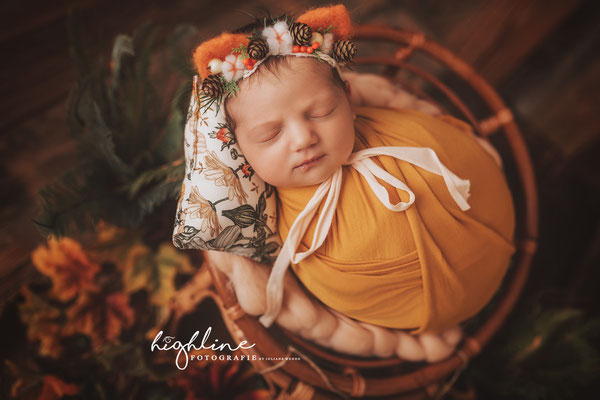 Babyfotografie Chemnitz