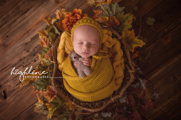 Babyfotografie Chemnitz