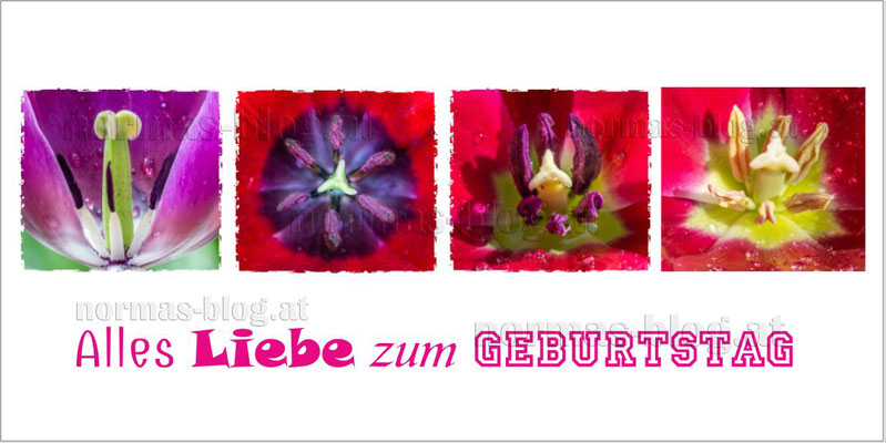 Nr. 11   Alles Liebe zum Geburtstag 