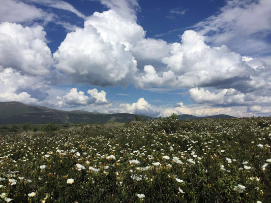 Berglandschaft in Guadalajara
