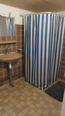 Badkamer met douche, wasbak en toilet