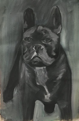 Französische Bulldoge, 43 x 33 cm, Öl auf Leinwand, 2020
