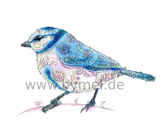 "Blaumeise",  Aquarell auf 300g/qm Aquarellpapier, 24x32cm, Preis: 190€ zzgl. Versand, erhältlich als limitierter, handsignierter Druck für 40€ zzgl. Versand
