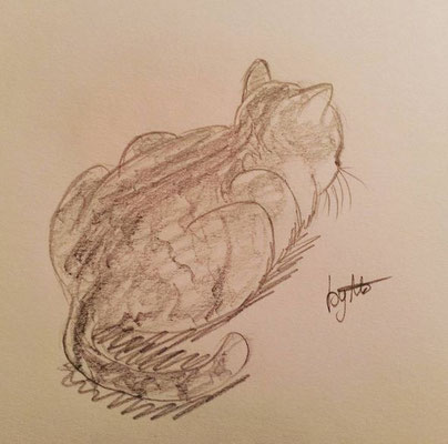 #100kittycats Nr.36