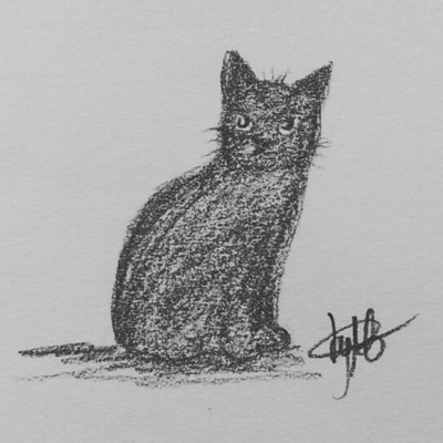 #100kittycats Nr.90