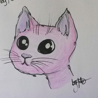 #100kittycats Nr.95