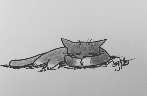 #100kittycats Nr.93