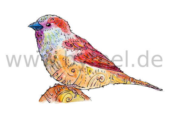 "Spatz",  Aquarell auf 300g/qm Aquarellpapier, 24x32cm, Preis: 190€ zzgl. Versand, erhältlich als limitierter, handsignierter Druck für 40€ zzgl. Versand