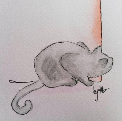 #100kittycats Nr.46