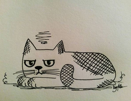 #100kittycats Nr.23