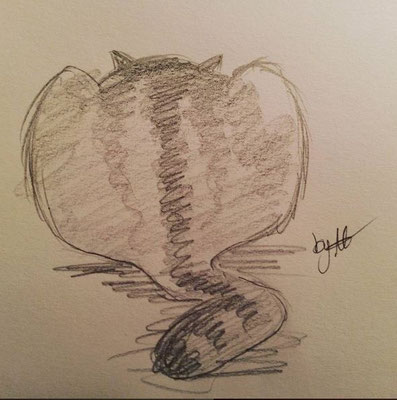 #100kittycats Nr.38