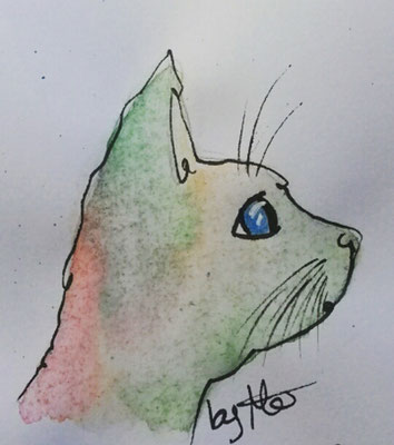 #100kittycats Nr.97