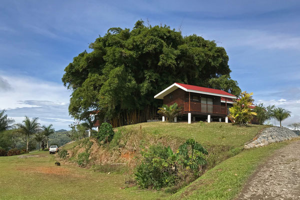 The aptly named Cabañas Bambú were our home in San Vito.