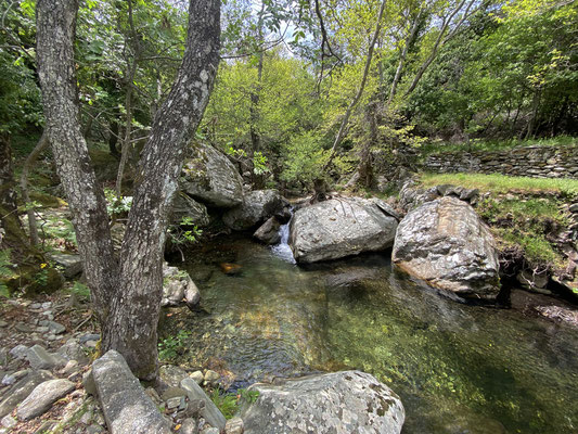 Habitat of Pelophylax ridibundus, Bufo bufo and Natrix natrix. 