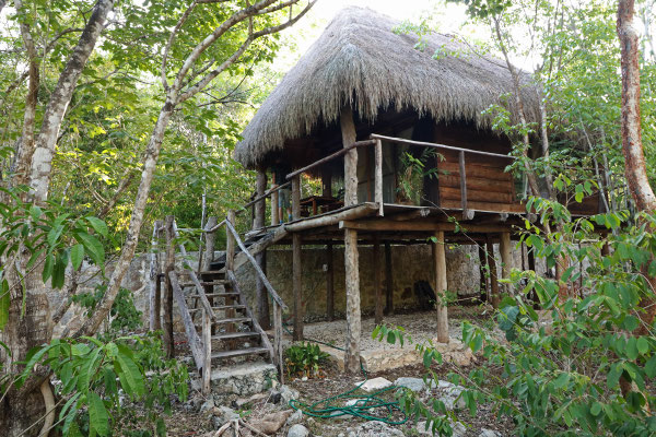 Our Treehouse for 4 nights.