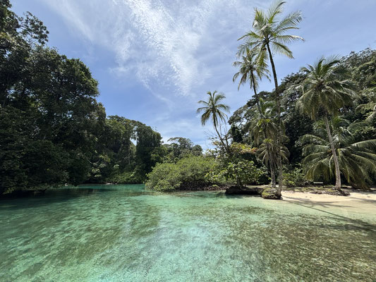 Island paradise