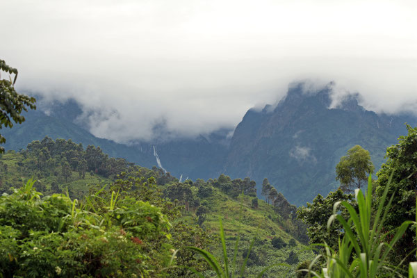 The highest peaks of the Rwenzoris are almost permanently veiled by cloud cover. 