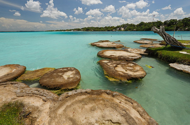 Stromatolites at Cenote Cocalitos near Bacalar.