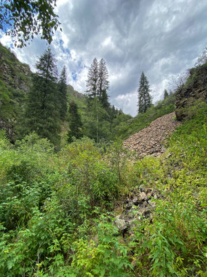 These scree slopes are home to Lacerta agilis and Gloydius halys.
