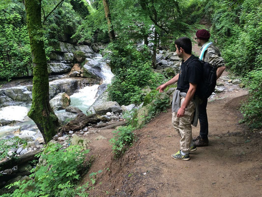 Matt knows where to find the salamanders. © Frank Deschandol