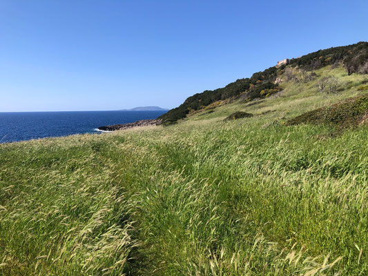 View along the hike up to the castle.