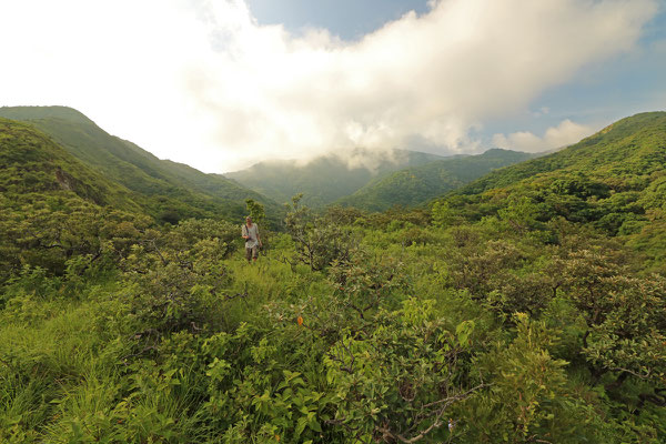 On the top of the plateau the forest gives way to scrubland, making it not an easy place to find Beaded Lizards. 