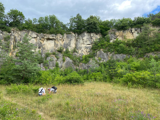 Laura and Michael searching for invertebrates. 