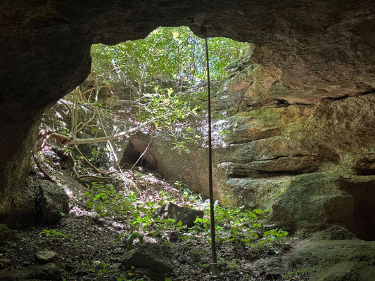 Beautiful cave full of life.