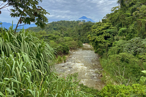 Stunning vistas along the way to Finca Argovia, with Volcán Tacaná in the distance.