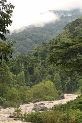 Mubuku River