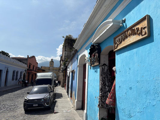 Salamanders are everywhere in Guatemala.