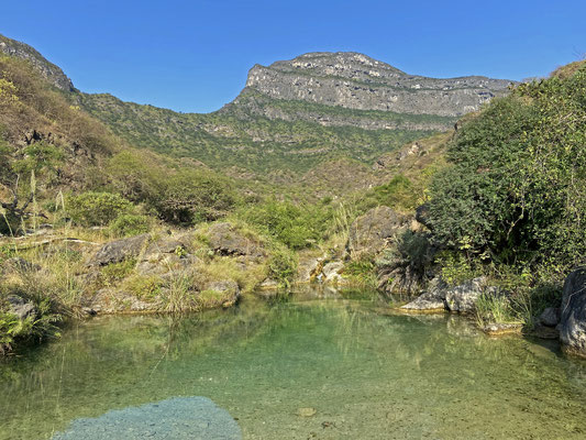 Another well forested wadi with crystal clear waters. That never becomes boring!