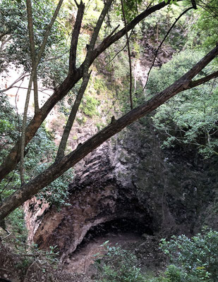 El Volcan de los Murcielagos, around seven o'clock there are millions of bats coming out to forage. 