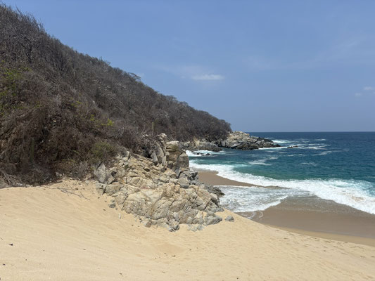 My favourite beach always requires a bit of a walk through mosquito infested swamps, but I've always this little paradise all to myself. 