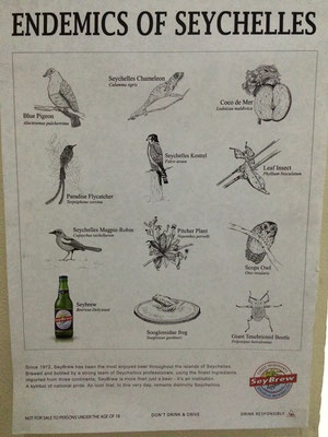 Seybrew promotional poster. Damn you Leaf Insect!
