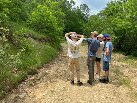 Bas, Jesse, Finn and Tieme looking for lizards.