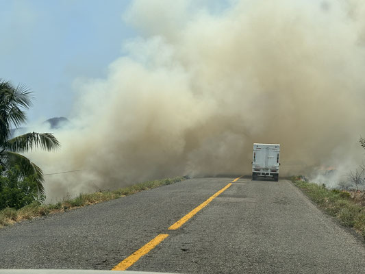 In the absence of rains, bush fires were a frequent sight during the first weeks of our trip.