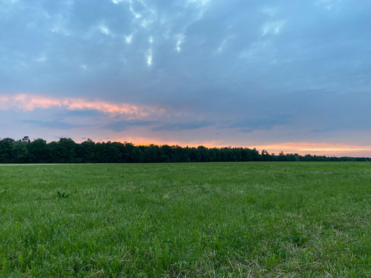 Beautiful sunset before going into the salamander woods.