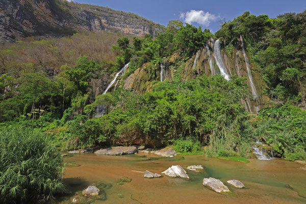 And also habitat of some colourful snakes such as...